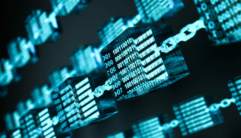 Глава государства принял руководителя Казахстанской ассоциации блокчейн-технологий Исламбека Салжанова